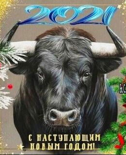 Владимир Шведцов